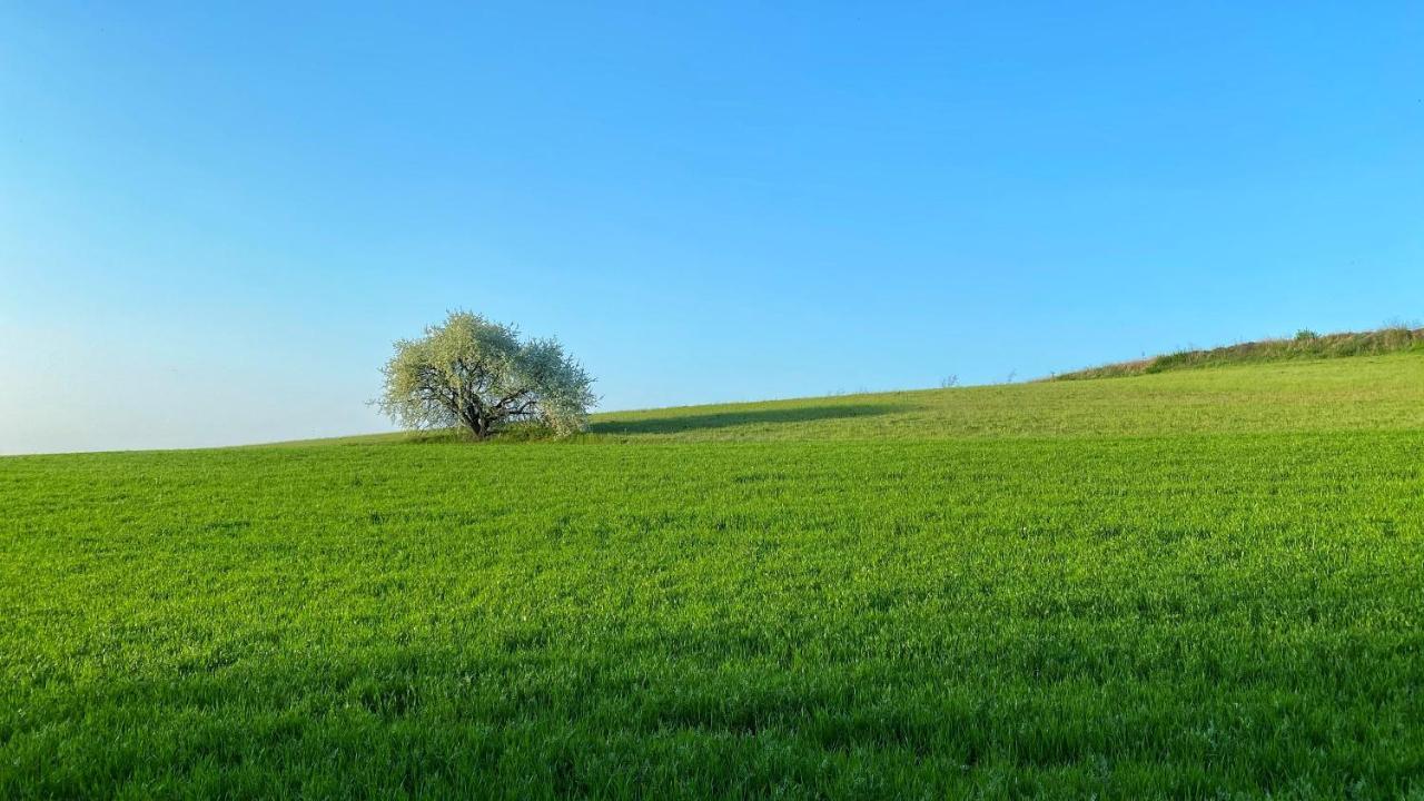 Agriturismo Albana Castiglione Delle Stiviere Extérieur photo